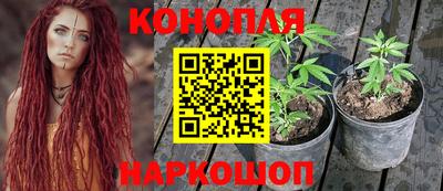 СК Конаково