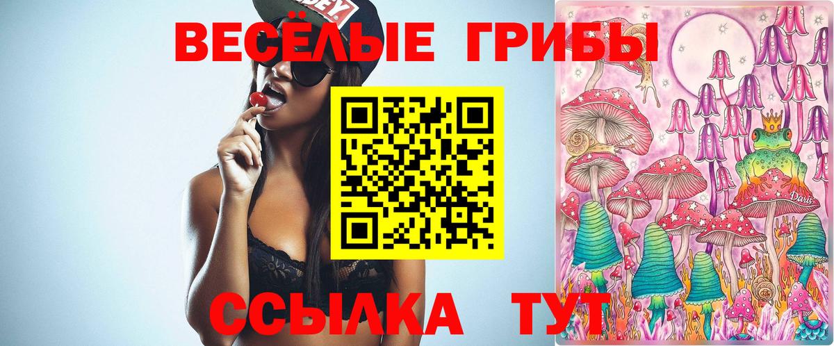 Псилоцибиновые грибы Cubensis  Вход с VPN  Донской 